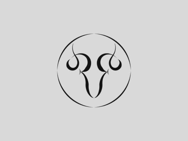 Celebrating Guru Nanak Jayanti: The Sacred Light of Prakash Parv